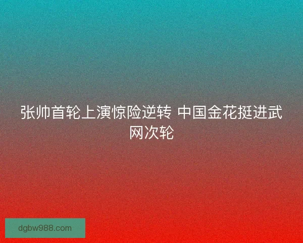 张帅首轮上演惊险逆转 中国金花挺进武网次轮