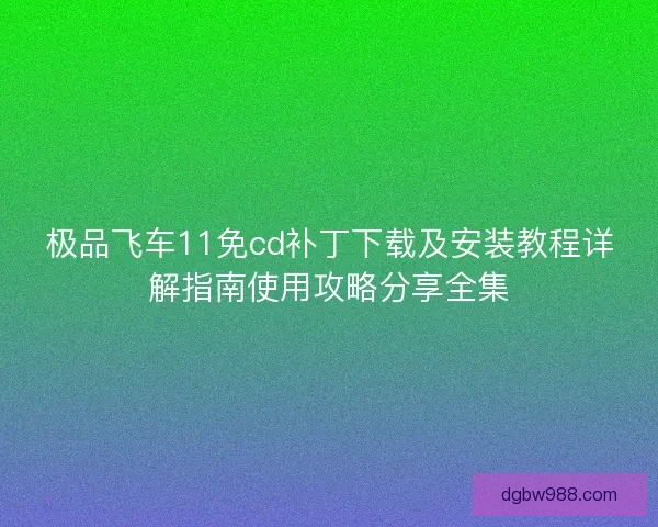 极品飞车11免cd补丁下载及安装教程详解指南使用攻略分享全集 极品飞车11免cd补丁下载及安装教程详解指南使用攻略分享全集
